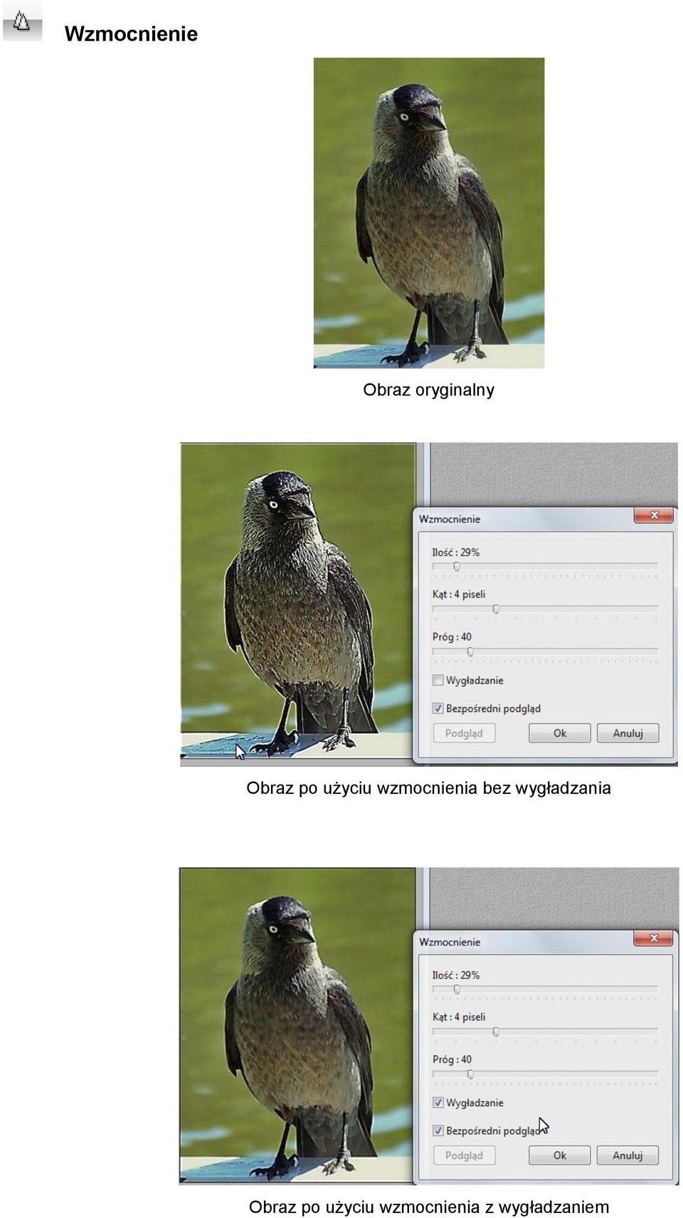 wygładzania Obraz po