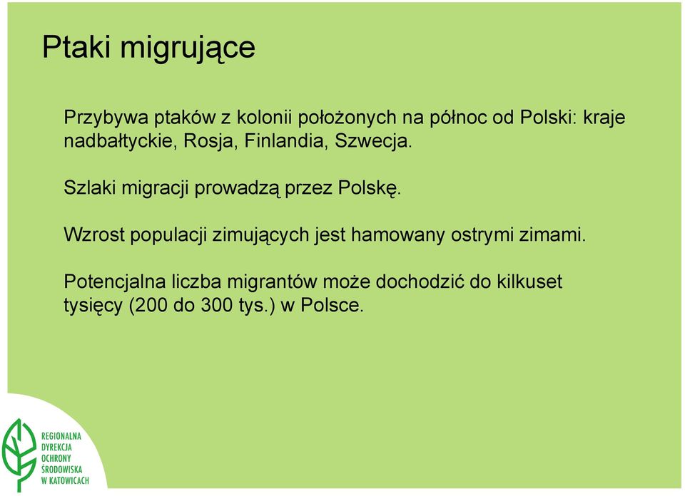 Szlaki migracji prowadzą przez Polskę.