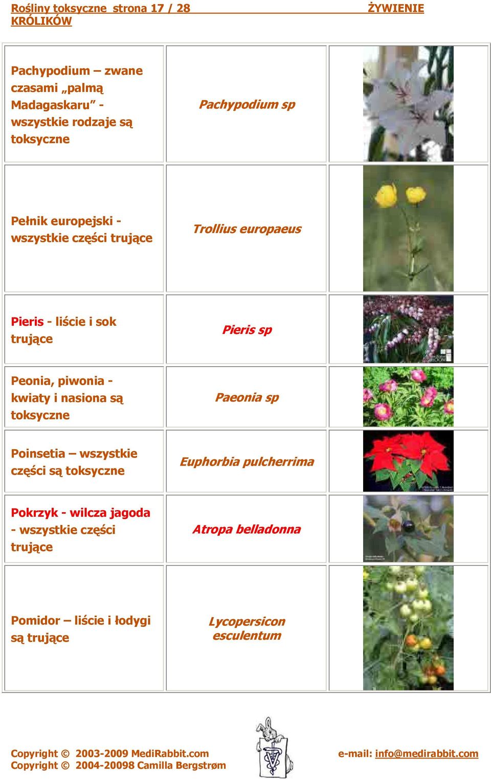 piwonia - kwiaty i nasiona są toksyczne Paeonia sp Poinsetia wszystkie części są toksyczne Euphorbia