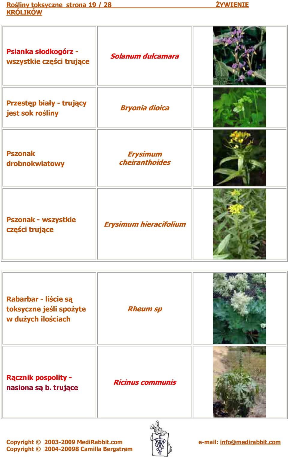 cheiranthoides Pszonak - wszystkie części Erysimum hieracifolium Rabarbar - liście są