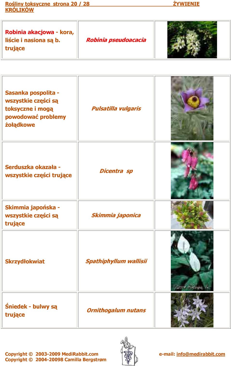 żołądkowe Pulsatilla vulgaris Serduszka okazała - wszystkie części Dicentra sp Skimmia japońska
