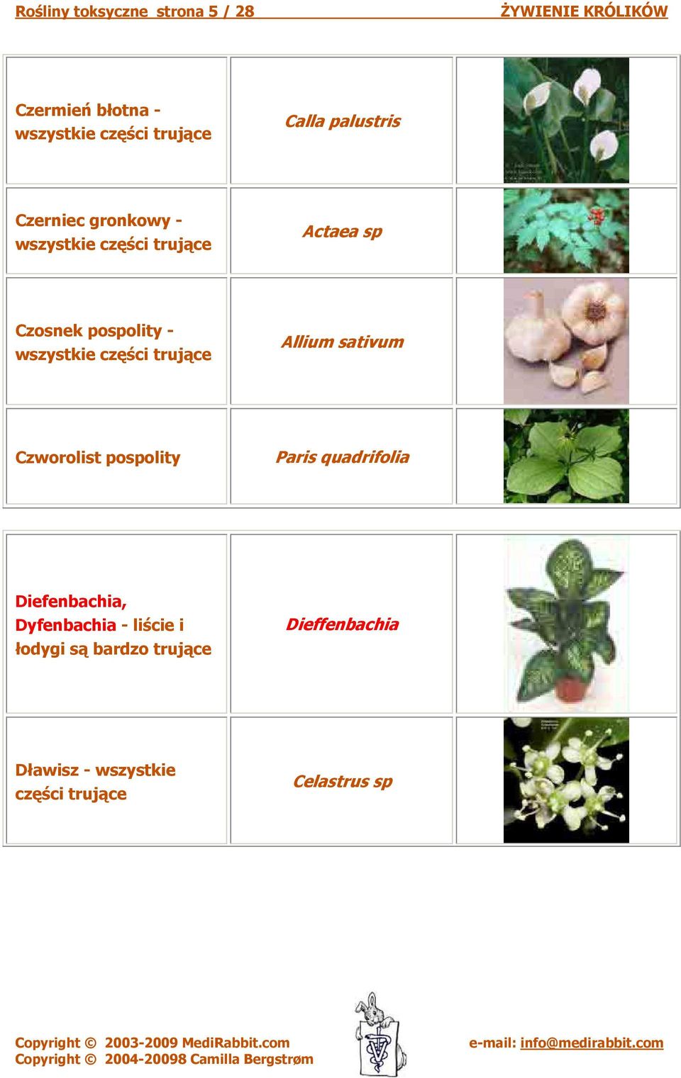 wszystkie części Allium sativum Czworolist pospolity Paris quadrifolia