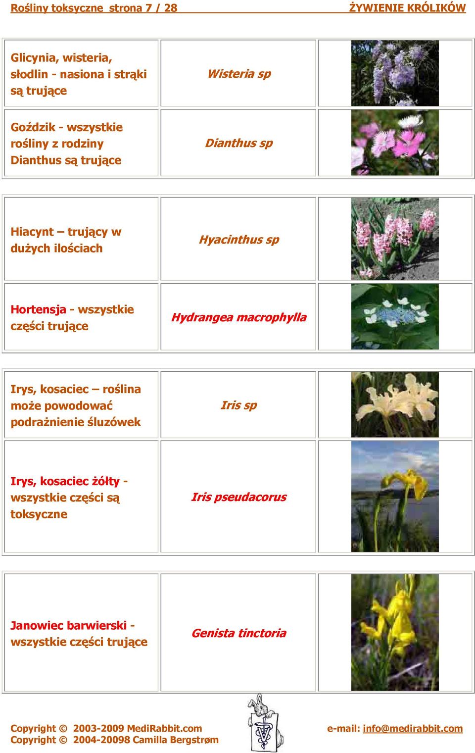 wszystkie części Hydrangea macrophylla Irys, kosaciec roślina może powodować podrażnienie śluzówek Iris sp Irys,