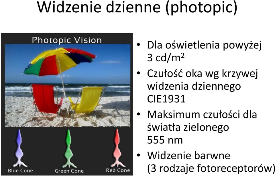 dziennego CIE1931 Maksimum czułości dla światła