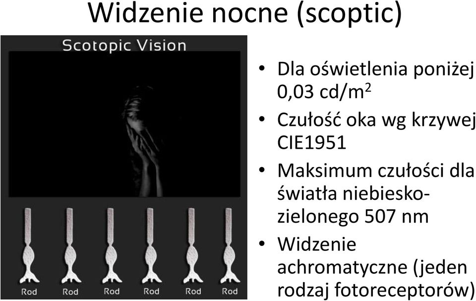 Maksimum czułości dla światła niebieskozielonego