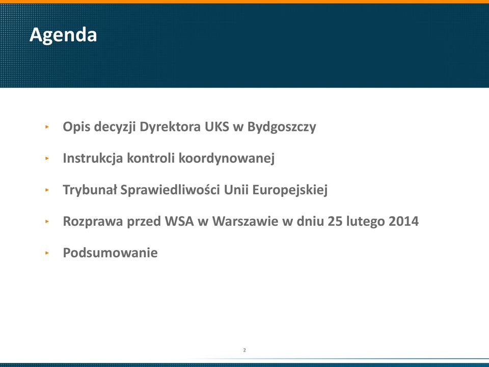 Sprawiedliwości Unii Europejskiej Rozprawa