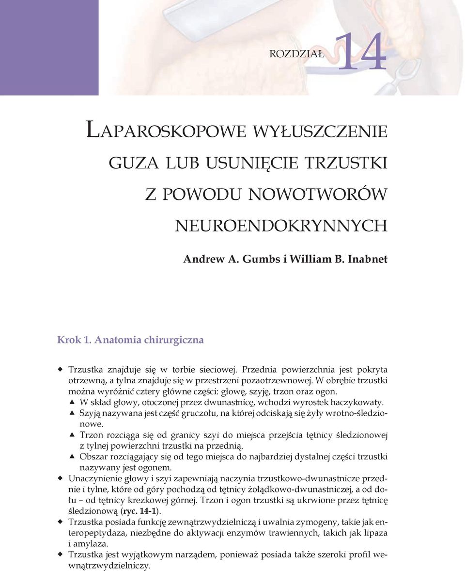 W obrębie trzustki można wyróżnić cztery główne części: głowę, szyję, trzon oraz ogon. ccw skład głowy, otoczonej przez dwunastnicę, wchodzi wyrostek haczykowaty.