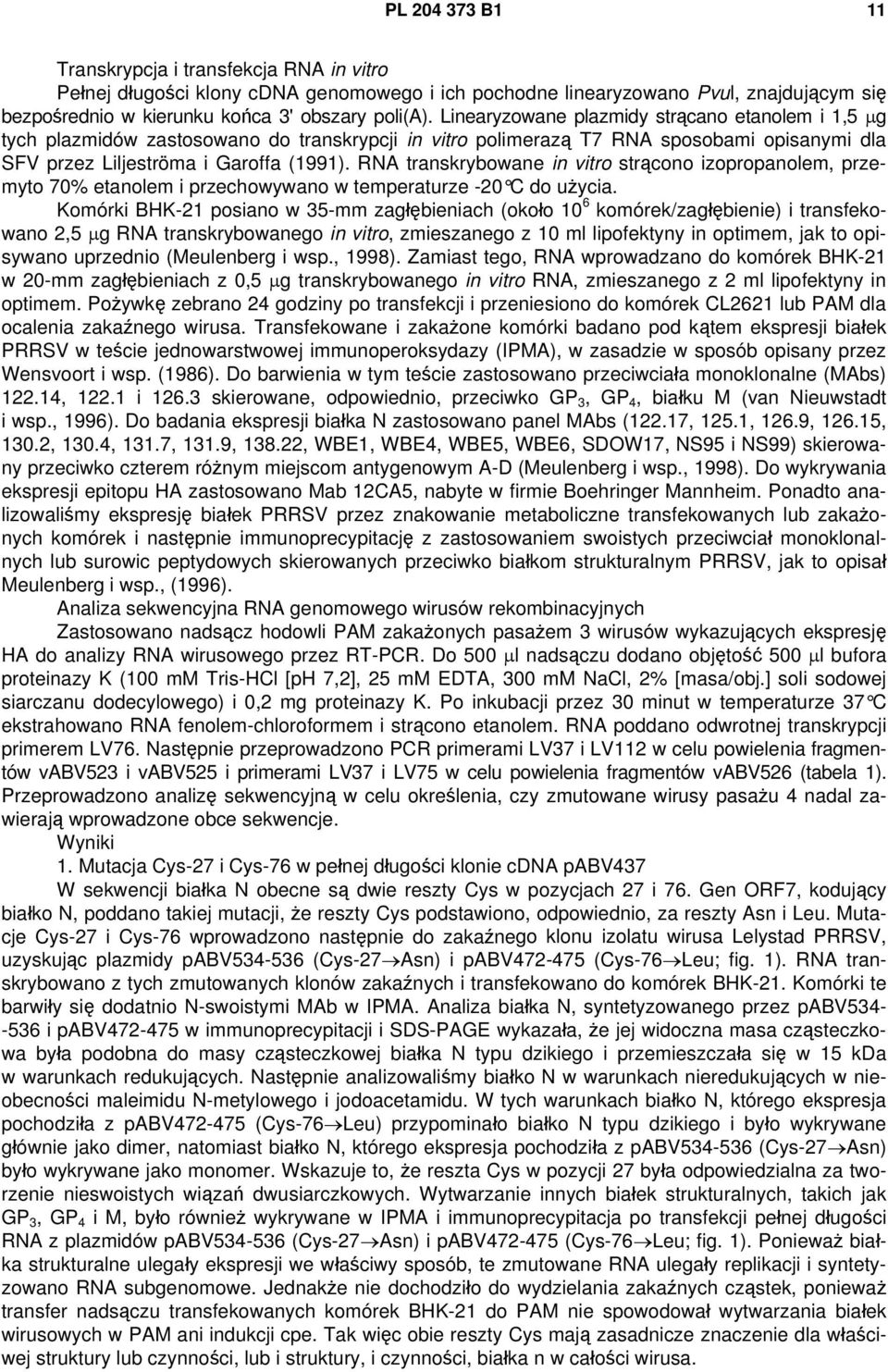 RNA transkrybowane in vitro strącono izopropanolem, przemyto 70% etanolem i przechowywano w temperaturze -20 C do użycia.