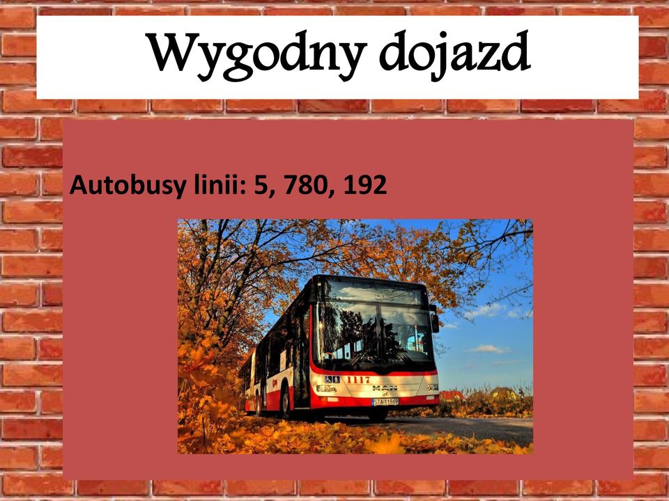 Autobusy