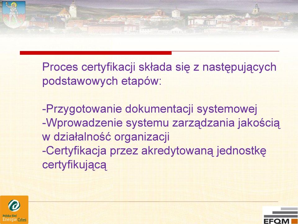 systemowej -Wprowadzenie systemu zarządzania jakością w