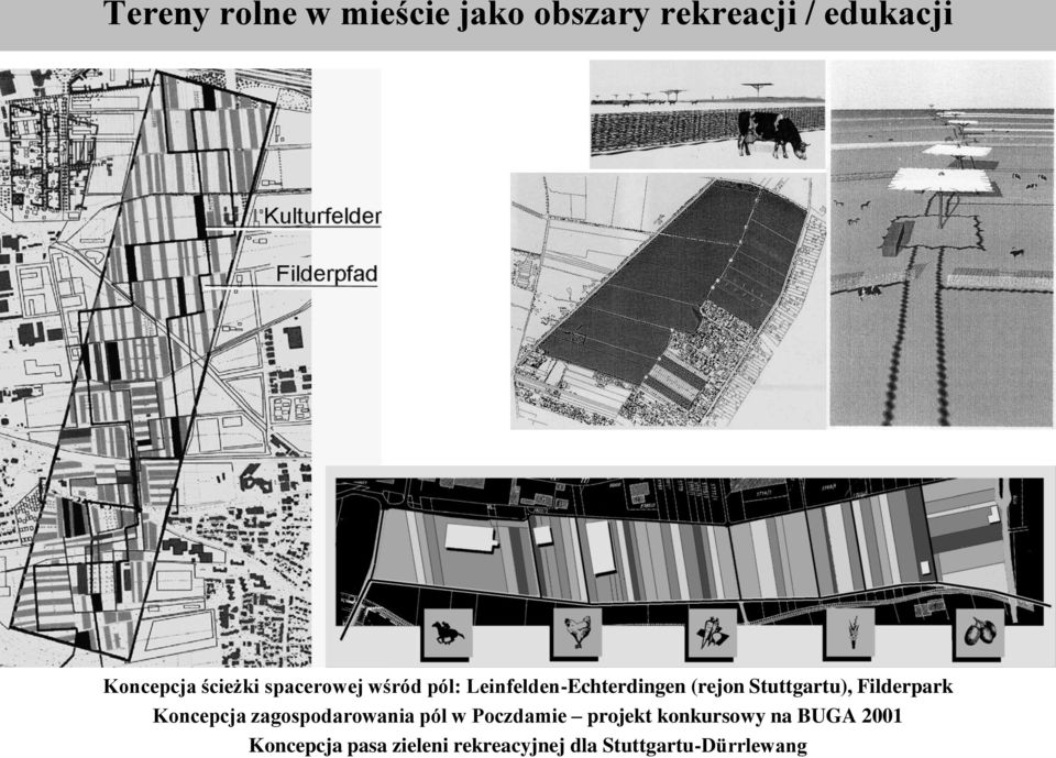 Stuttgartu), Filderpark Koncepcja zagospodarowania pól w Poczdamie