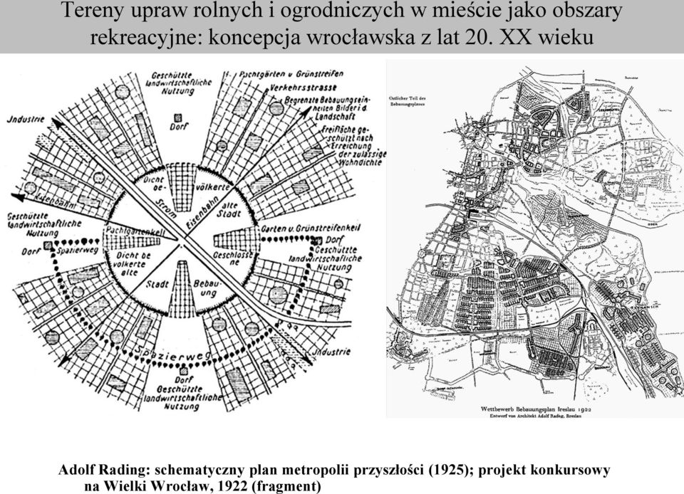 XX wieku Adolf Rading: schematyczny plan metropolii