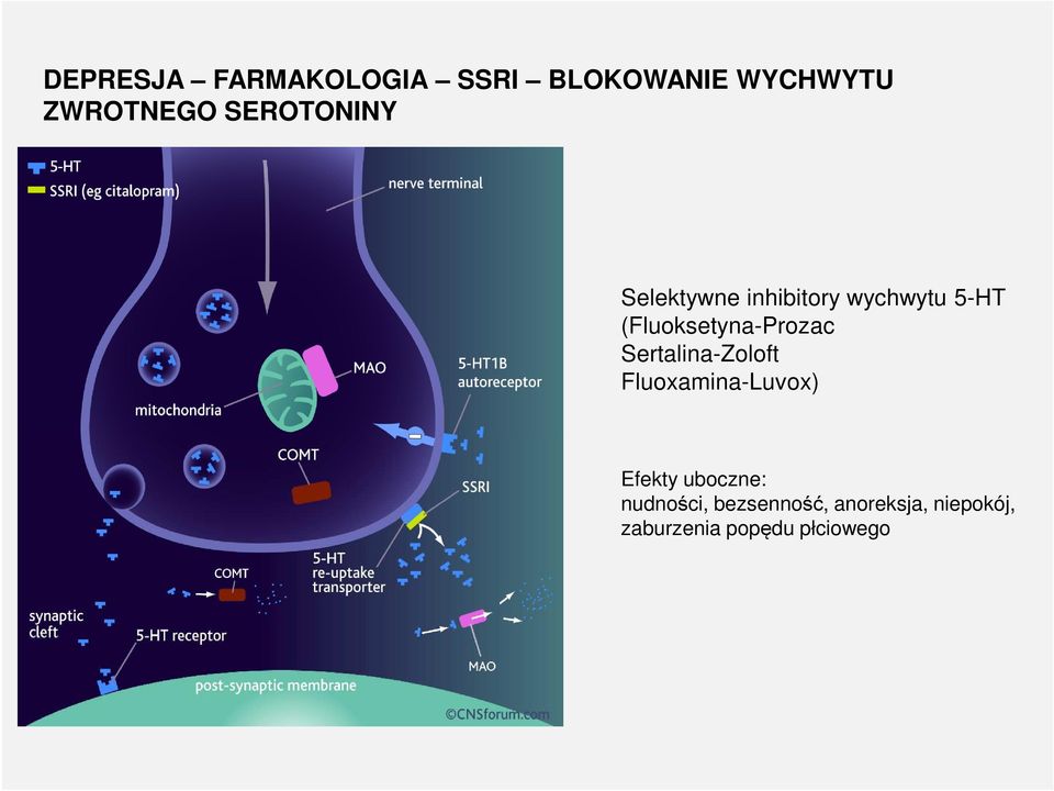 (Fluoksetyna-Prozac Sertalina-Zoloft Fluoxamina-Luvox) Efekty