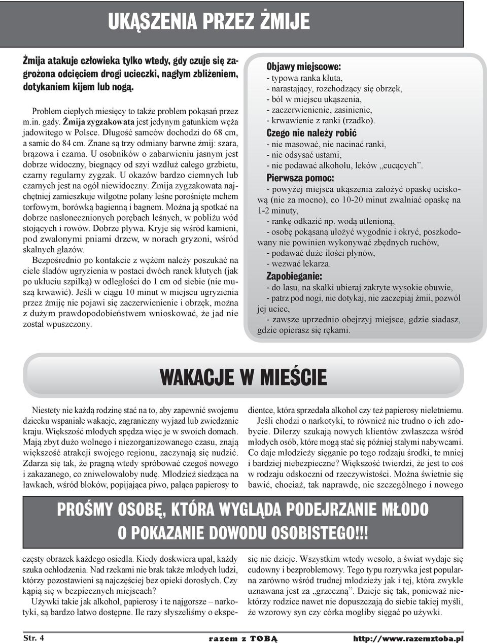 Znane są trzy odmiany barwne żmij: szara, brązowa i czarna. U osobników o zabarwieniu jasnym jest dobrze widoczny, biegnący od szyi wzdłuż całego grzbietu, czarny regularny zygzak.