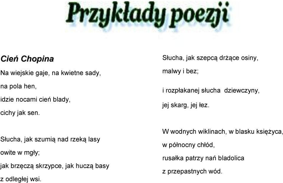 Słucha, jak szumią nad rzeką lasy owite w mgły; jak brzęczą skrzypce, jak huczą basy z odległej wsi.