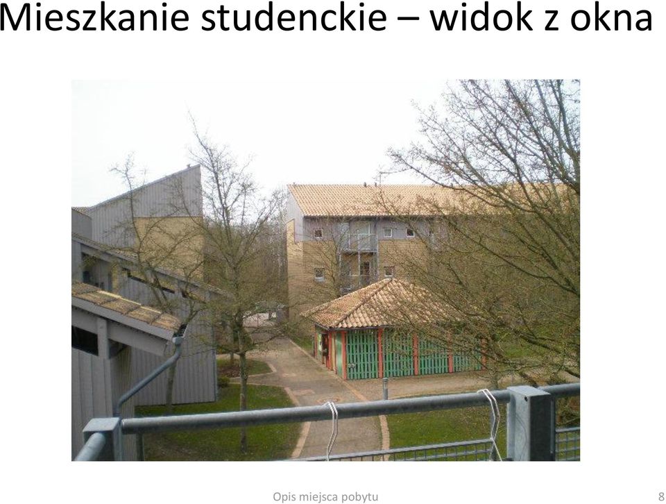 widok z okna