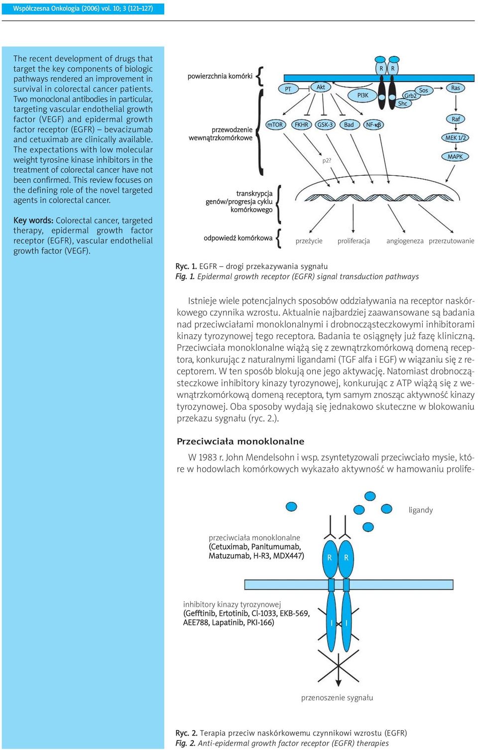 The expectations with low molecular weight tyrosine kinase inhibitors in the treatment of colorectal cancer have not been confirmed.