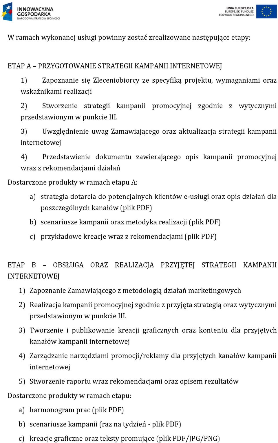 3) Uwzględnienie uwag Zamawiającego oraz aktualizacja strategii kampanii internetowej 4) Przedstawienie dokumentu zawierającego opis kampanii promocyjnej wraz z rekomendacjami działań Dostarczone