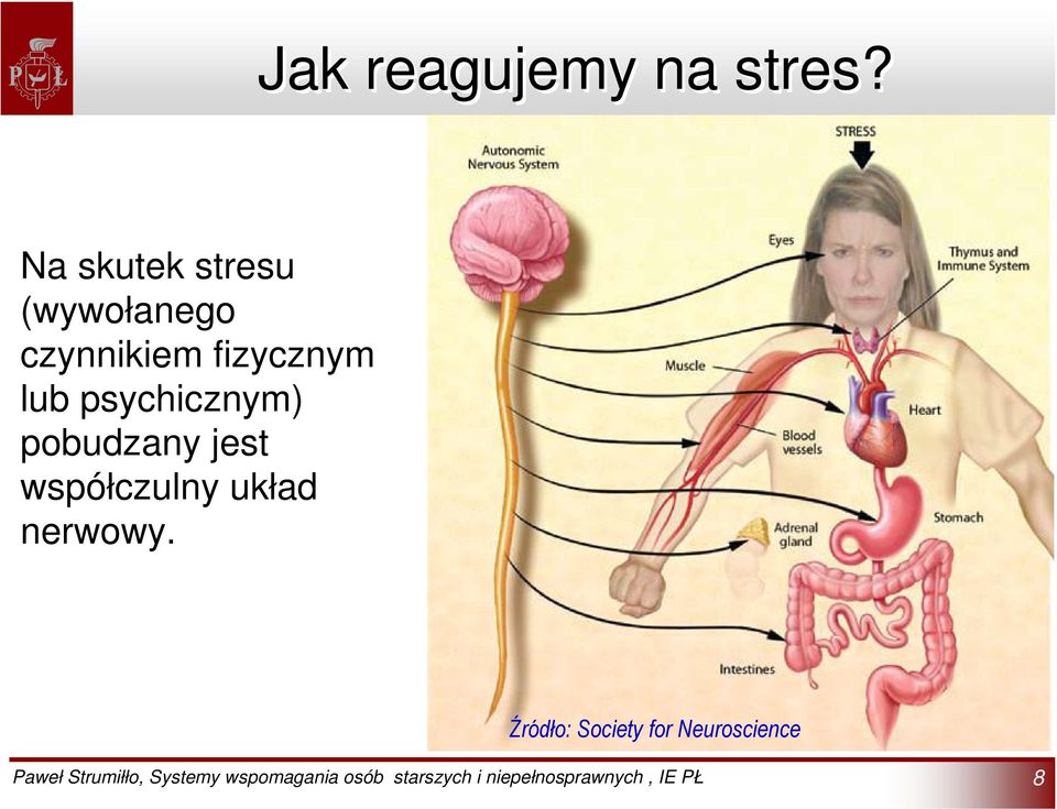 fizycznym lub psychicznym) pobudzany jest