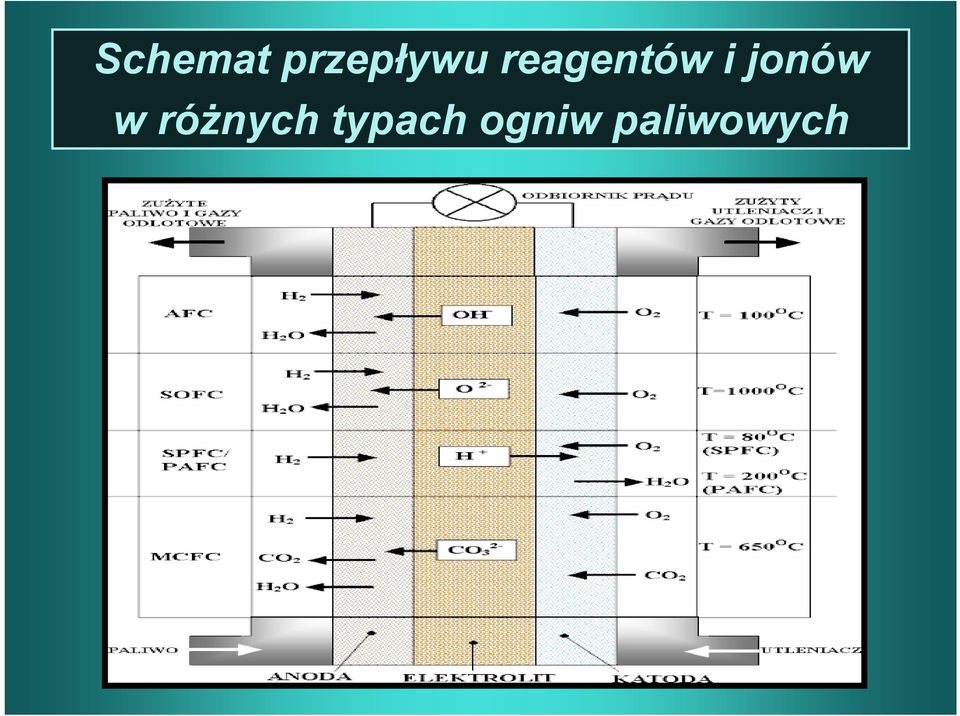 w różnych typach