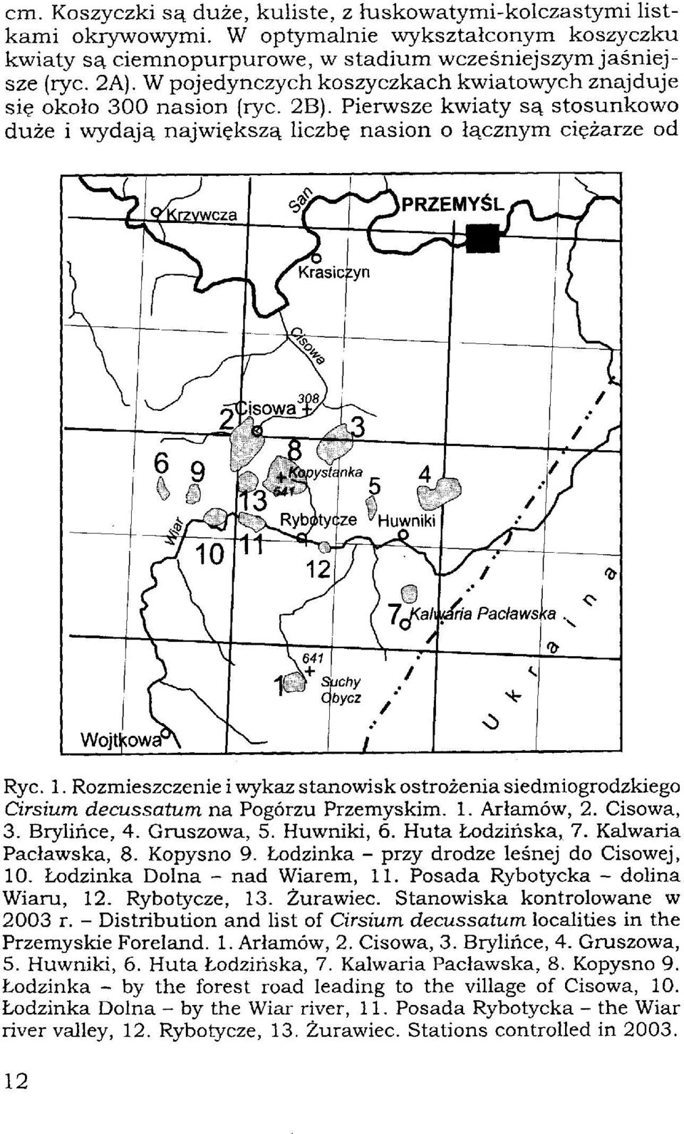 Rozmieszczenie i wykaz stanowisk ostrożenia siedmiogrodzkiego Cirsium decussatum na Pogórzu Przemyskim. 1. Arłamów, 2. Cisowa, 3. Brylińce, 4. Gruszowa, 5. Huwniki, 6. Huta Łodzińska, 7.