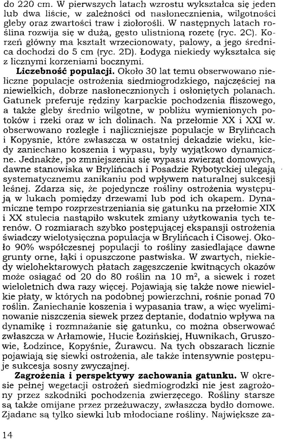 Łodyga niekiedy wykształca się z licznymi korzeniami bocznymi. Liczebność populacji.
