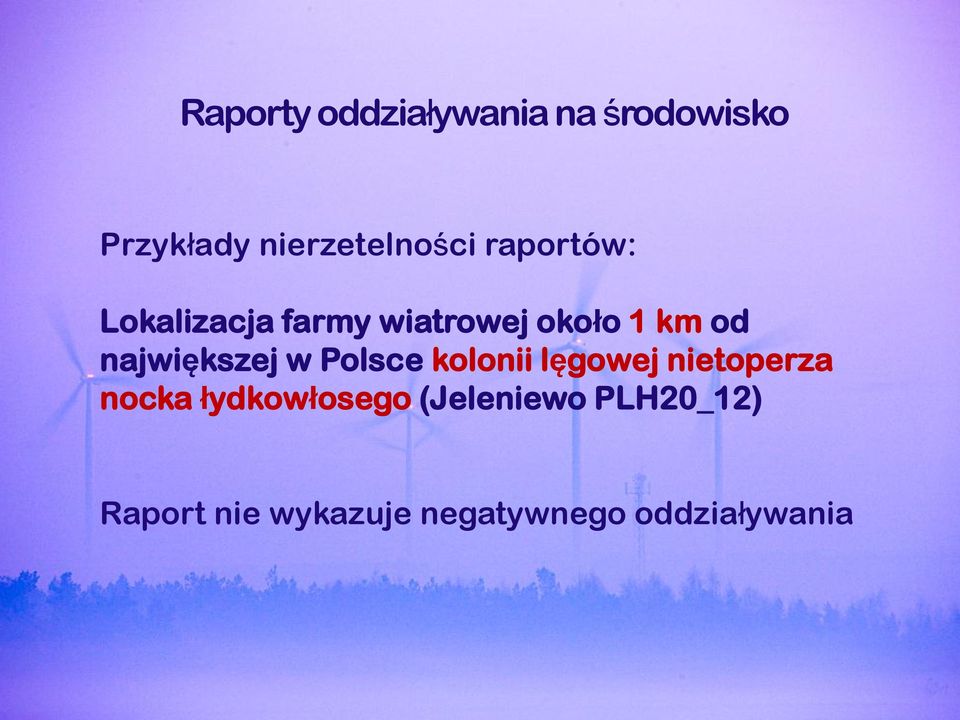 największej w Polsce kolonii lęgowej nietoperza nocka