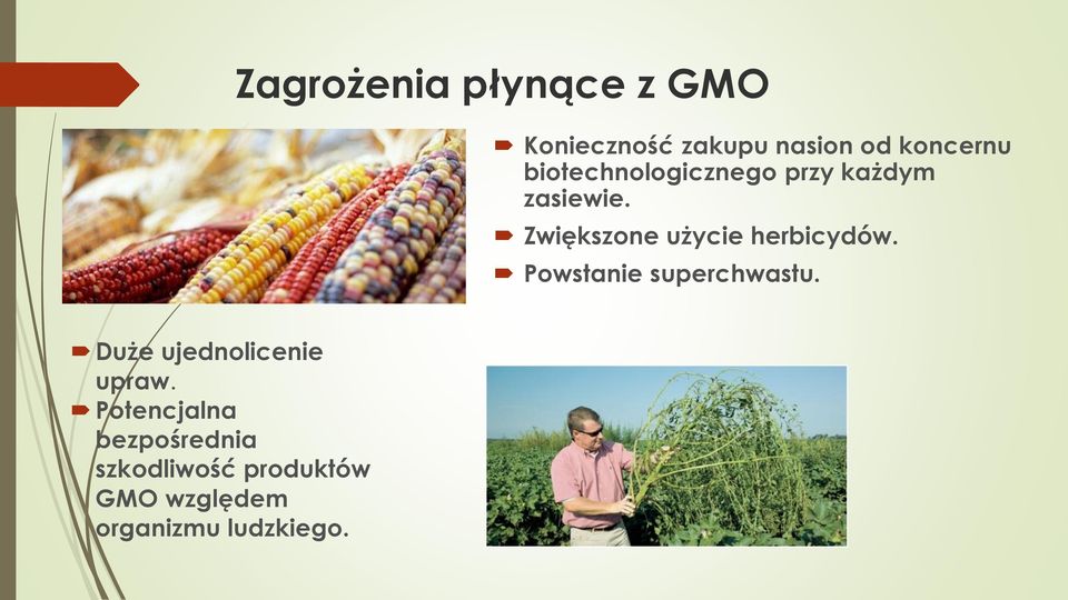 Zwiększone użycie herbicydów. Powstanie superchwastu.