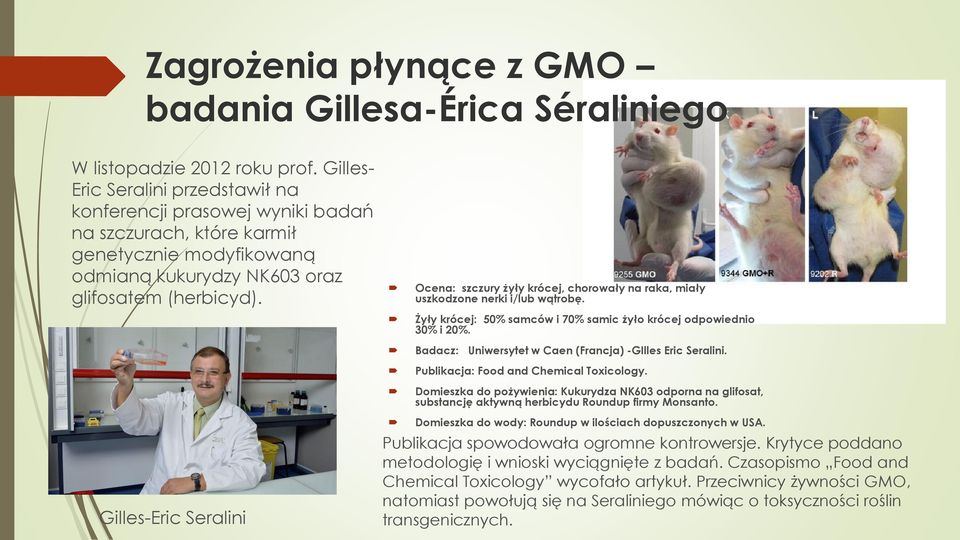 Ocena: szczury żyły krócej, chorowały na raka, miały uszkodzone nerki i/lub wątrobę. Żyły krócej: 50% samców i 70% samic żyło krócej odpowiednio 30% i 20%.