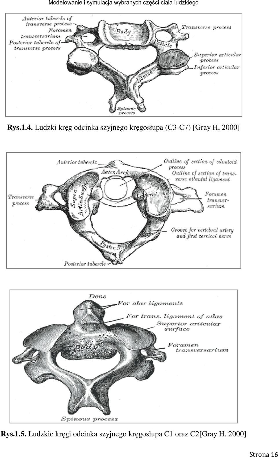 (C3-C7) [Gray H, 2000] Rys.1.5.