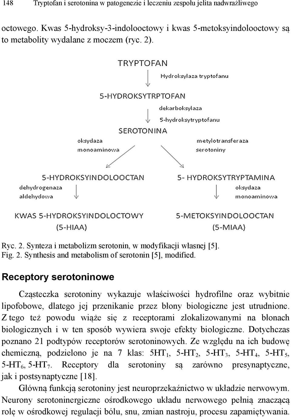 Receptory serotoninowe Cząsteczka serotoniny wykazuje właściwości hydrofilne oraz wybitnie lipofobowe, dlatego jej przenikanie przez błony biologiczne jest utrudnione.