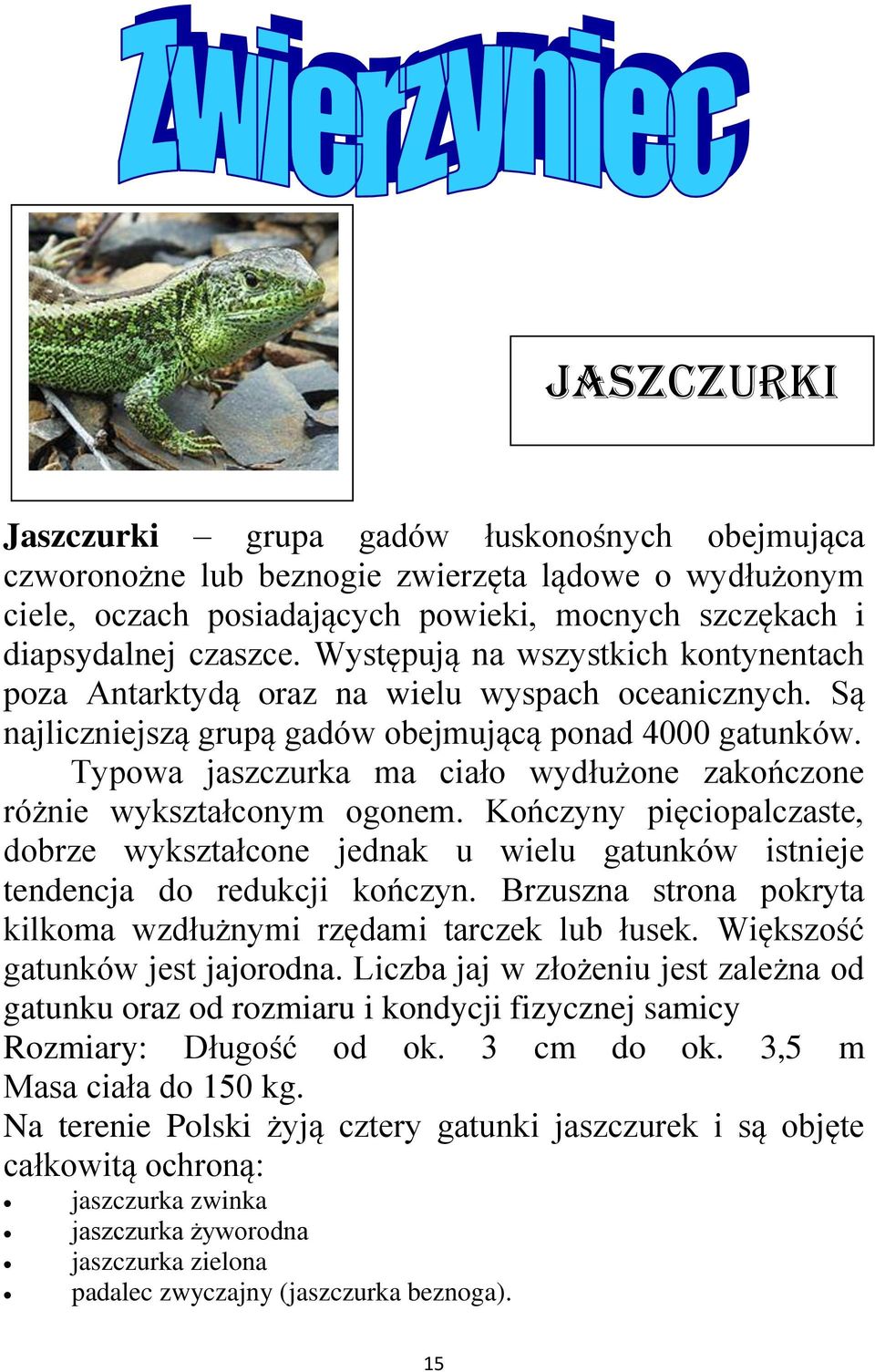 Typowa jaszczurka ma ciało wydłużone zakończone różnie wykształconym ogonem. Kończyny pięciopalczaste, dobrze wykształcone jednak u wielu gatunków istnieje tendencja do redukcji kończyn.