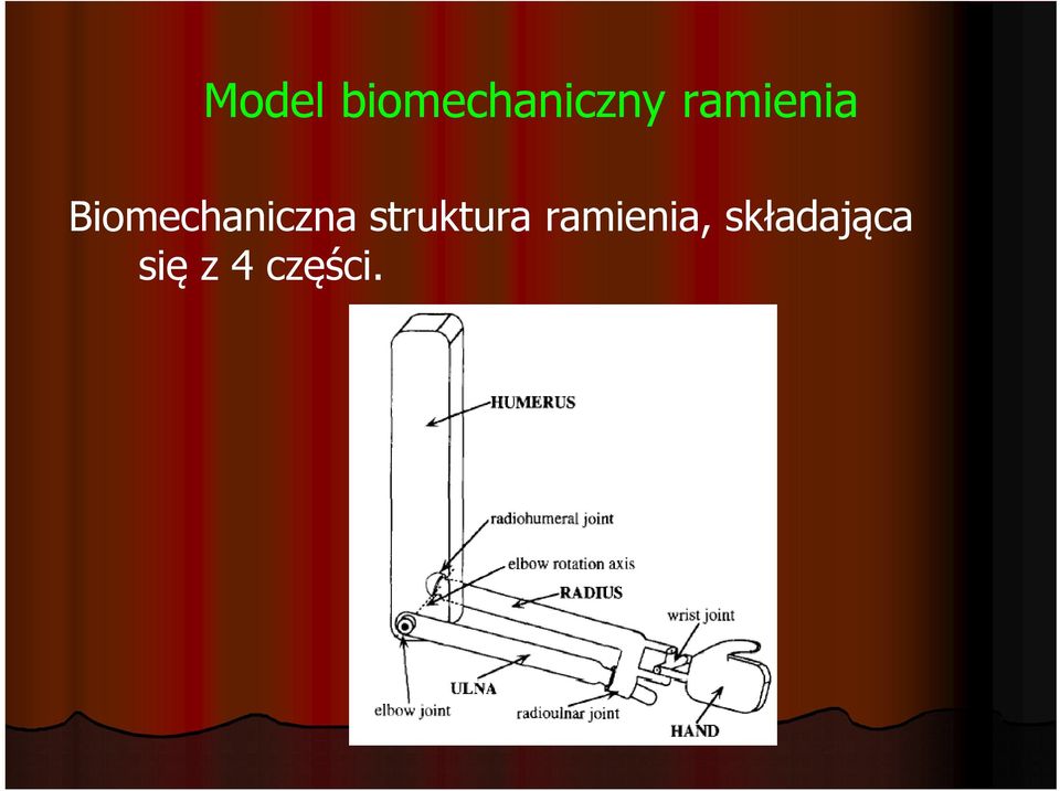 Biomechaniczna