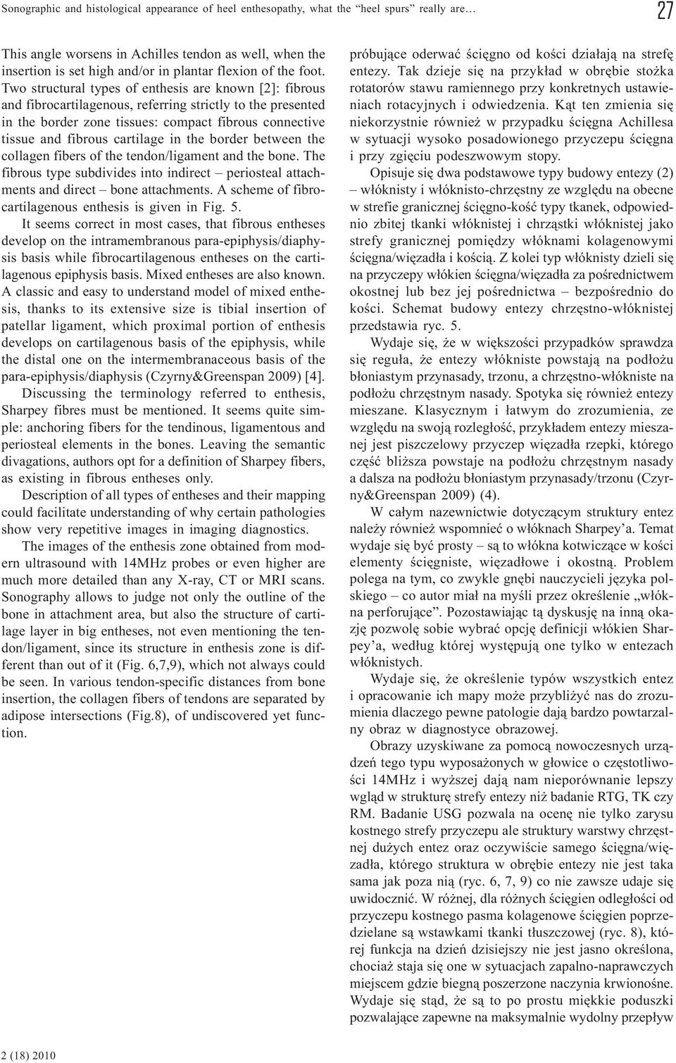 Two structural types of enthesis are known [2]: fibrous and fibrocartilagenous, referring strictly to the presented in the border zone tissues: compact fibrous connective tissue and fibrous cartilage