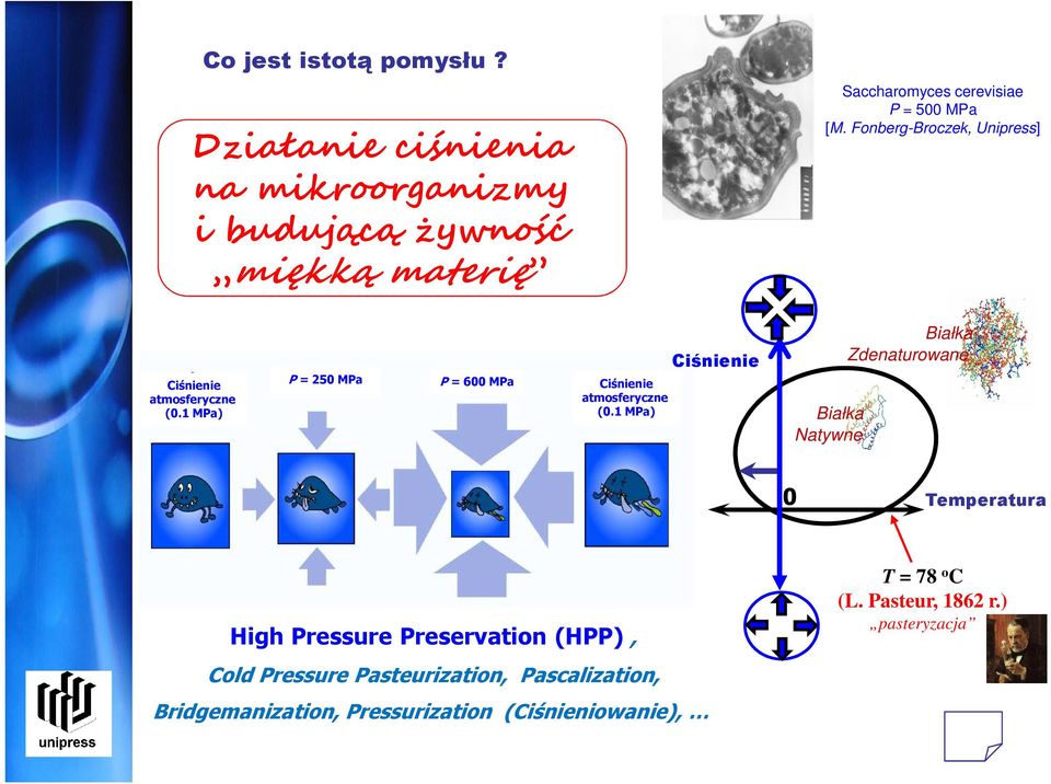 Fonberg-Broczek, Unipress] Ciśnienie atmosferyczne (0.1 MPa) P = 250 MPa P = 600 MPa Ciśnienie atmosferyczne (0.