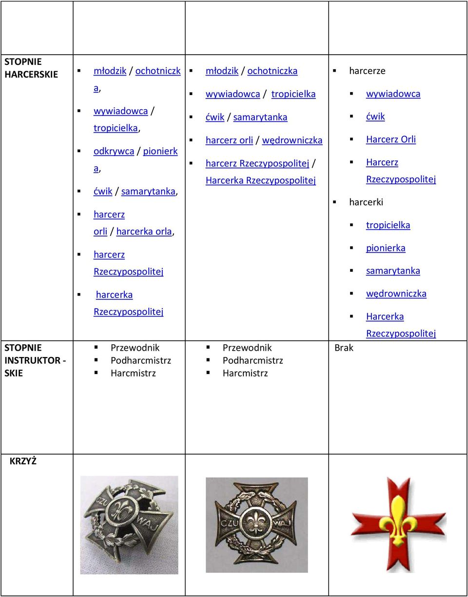 orli / wędrowniczka harcerz / Harcerka ćwik Harcerz Orli Harcerz harcerki tropicielka pionierka samarytanka harcerka