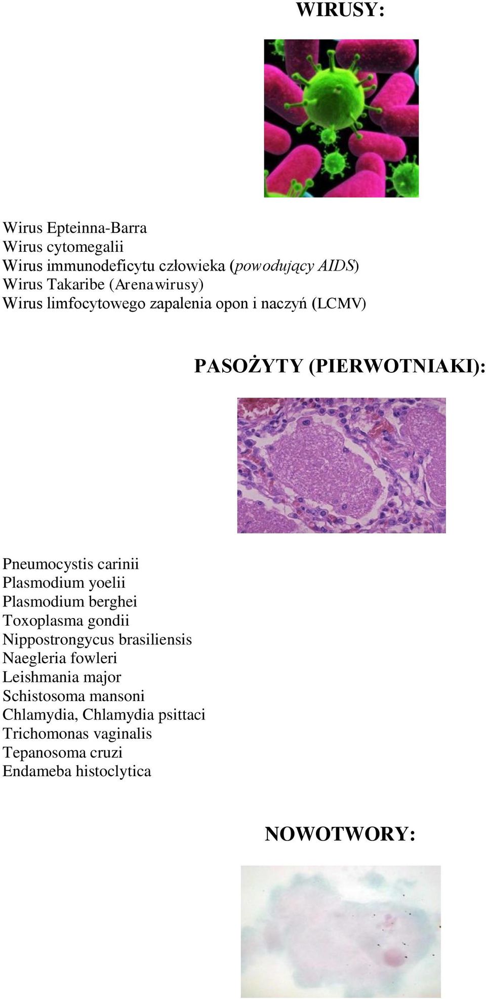 Plasmodium yoelii Plasmodium berghei Toxoplasma gondii Nippostrongycus brasiliensis Naegleria fowleri Leishmania