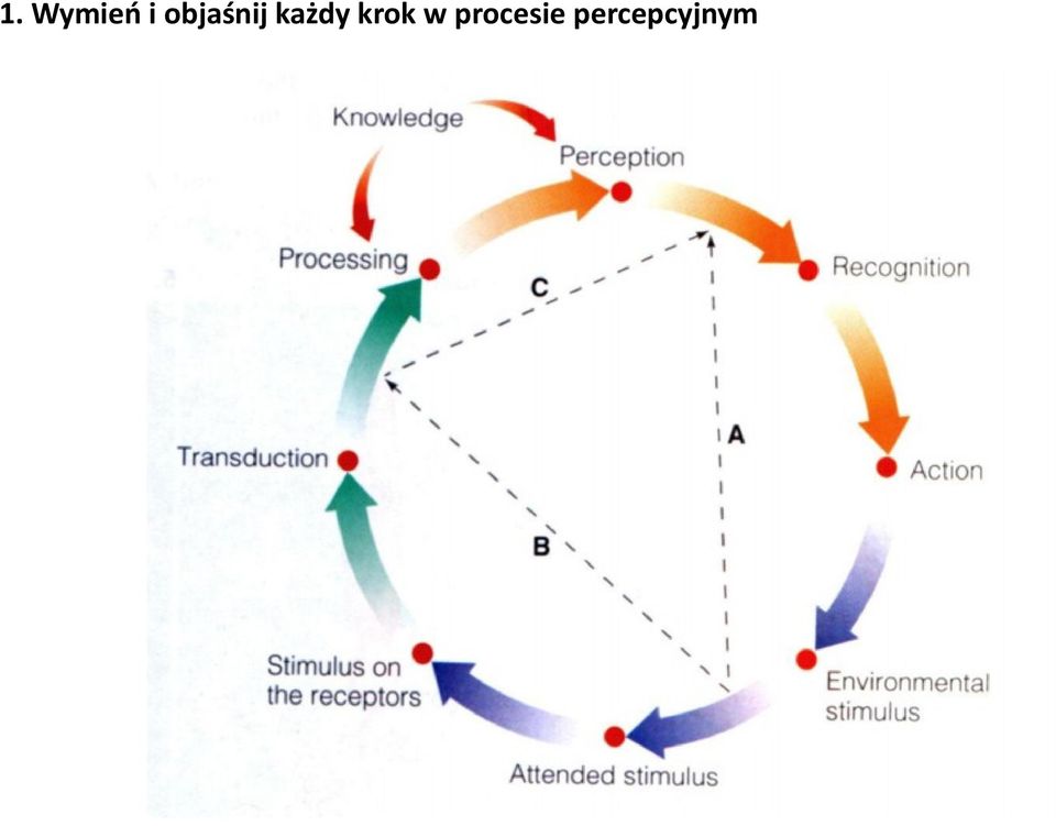 każdy krok w