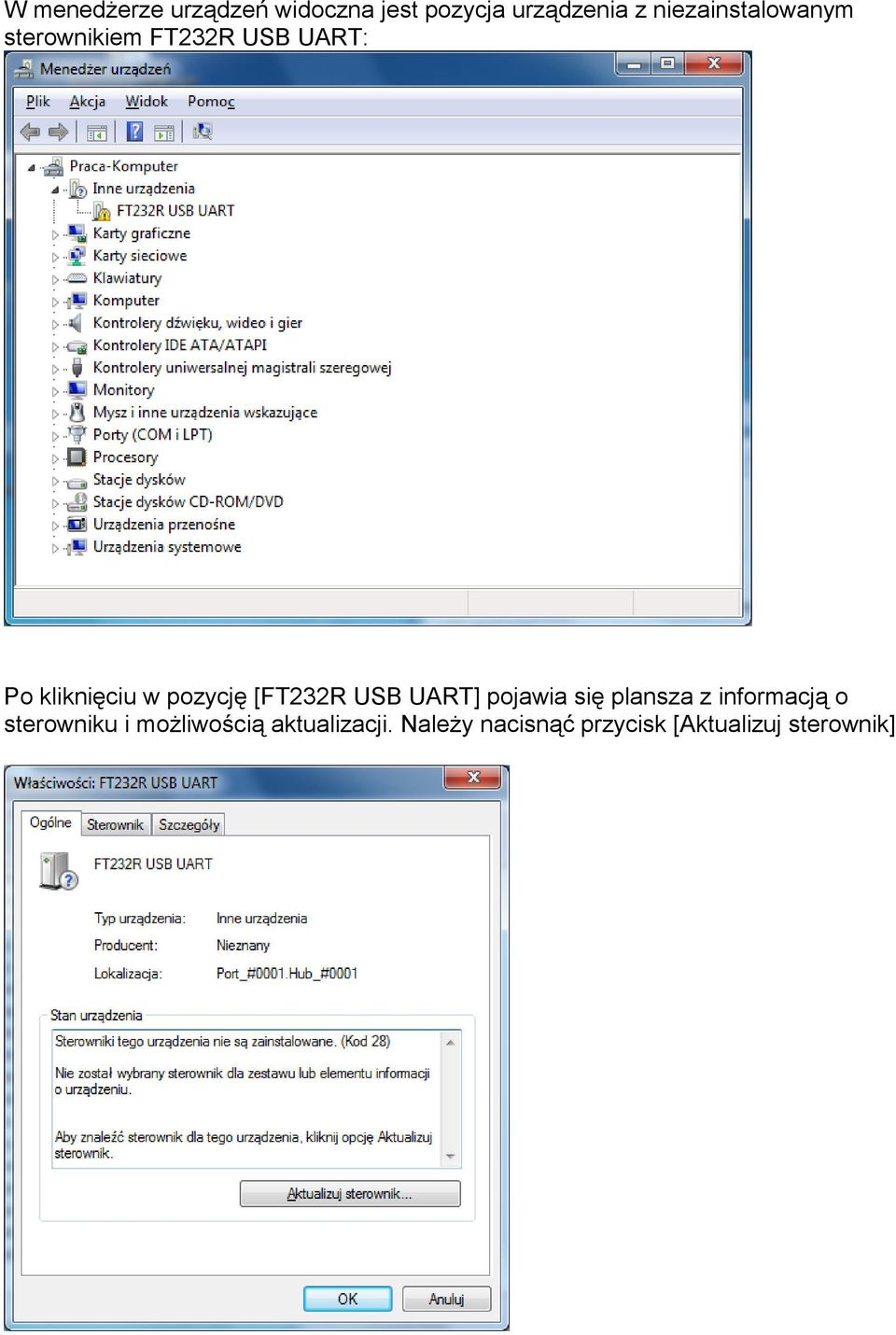 pozycję [FT232R USB UART] pojawia się plansza z informacją o