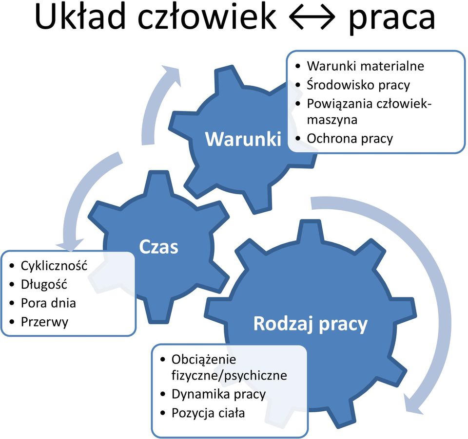 pracy Cykliczność Długość Pora dnia Przerwy Czas Rodzaj