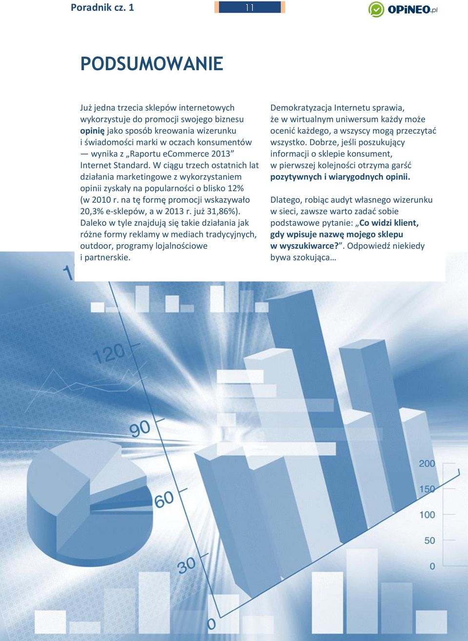ecommerce 2013 Internet Standard. W ciągu trzech ostatnich lat działania marketingowe z wykorzystaniem opinii zyskały na popularności o blisko 12% (w 2010 r.