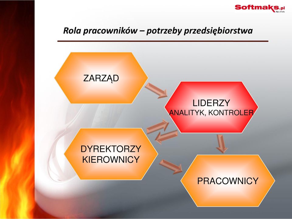 LIDERZY ANALITYK, KONTROLER