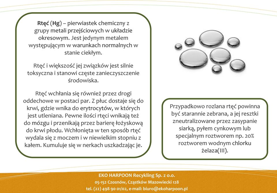 Z płuc dostaje się do krwi, gdzie wnika do erytrocytów, w których jest utleniana. Pewne ilości rtęci wnikają też do mózgu i przenikają przez barierę łożyskową do krwi płodu.