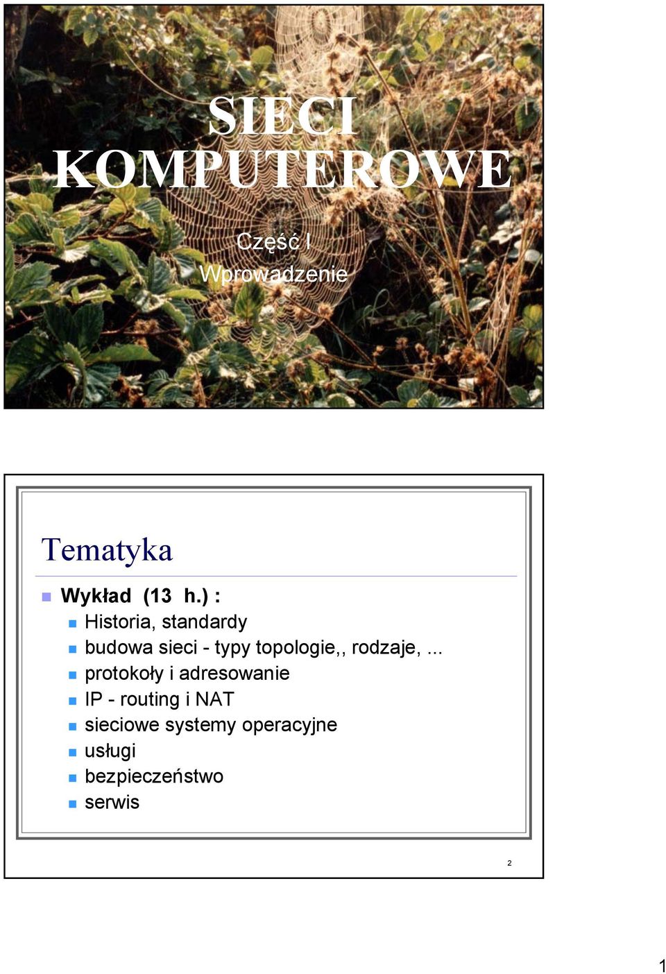 ) : Historia, standardy budowa sieci - typy topologie,,