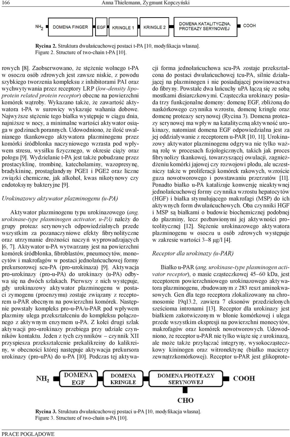 lipoprotein related protein receptor) obecne na powierzchni komórek wątroby. Wykazano także, że zawartość aktywatora t-pa w surowicy wykazuje wahania dobowe.