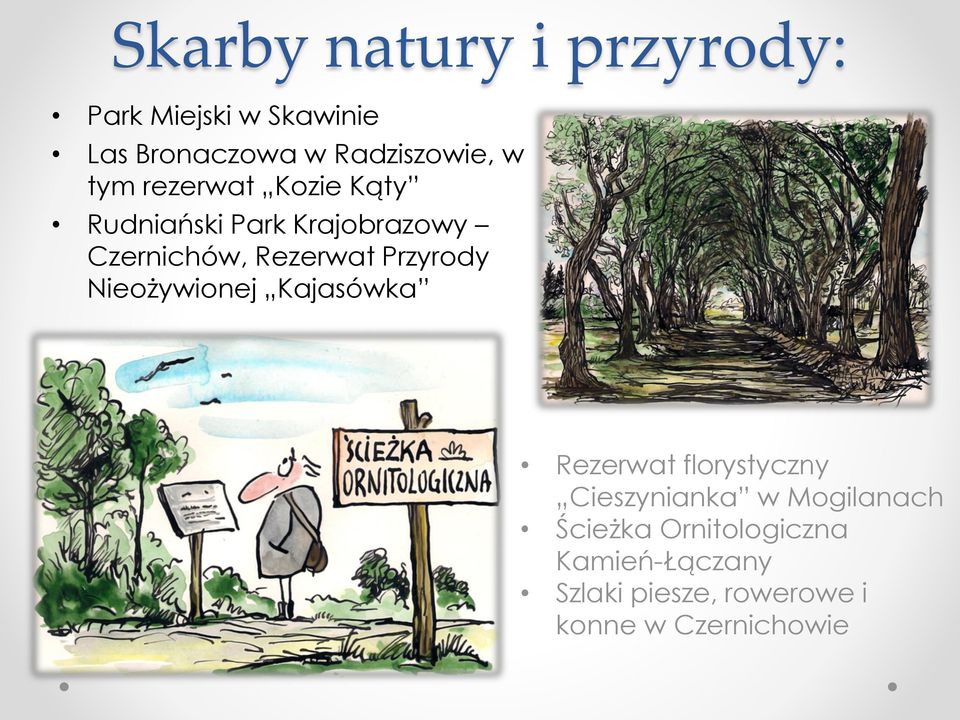 Przyrody Nieożywionej Kajasówka Rezerwat florystyczny Cieszynianka w Mogilanach