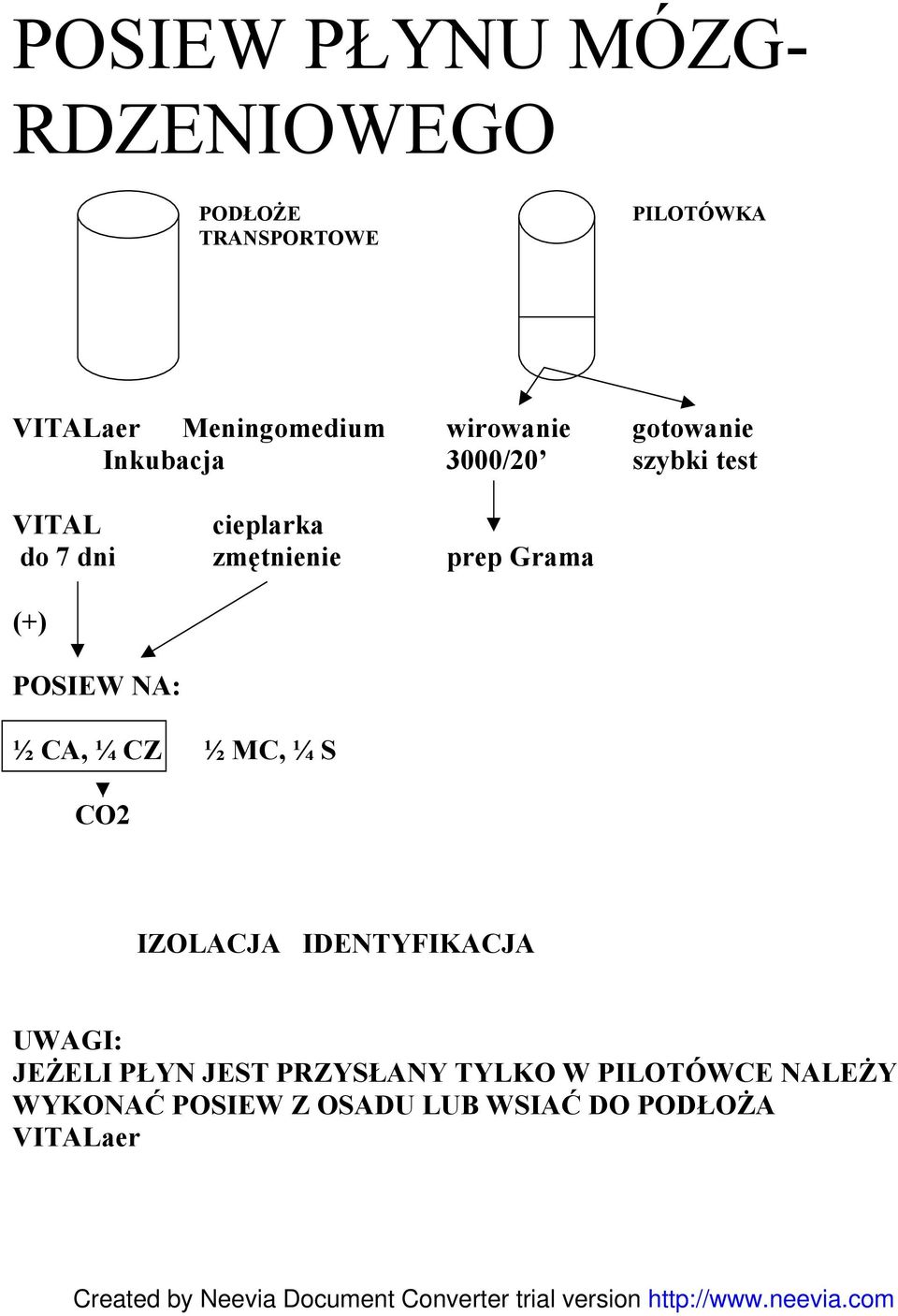 prep Grama (+) POSIEW NA: ½ CA, ¼ CZ ½ MC, ¼ S CO2 IZOLACJA IDENTYFIKACJA JEśELI PŁYN