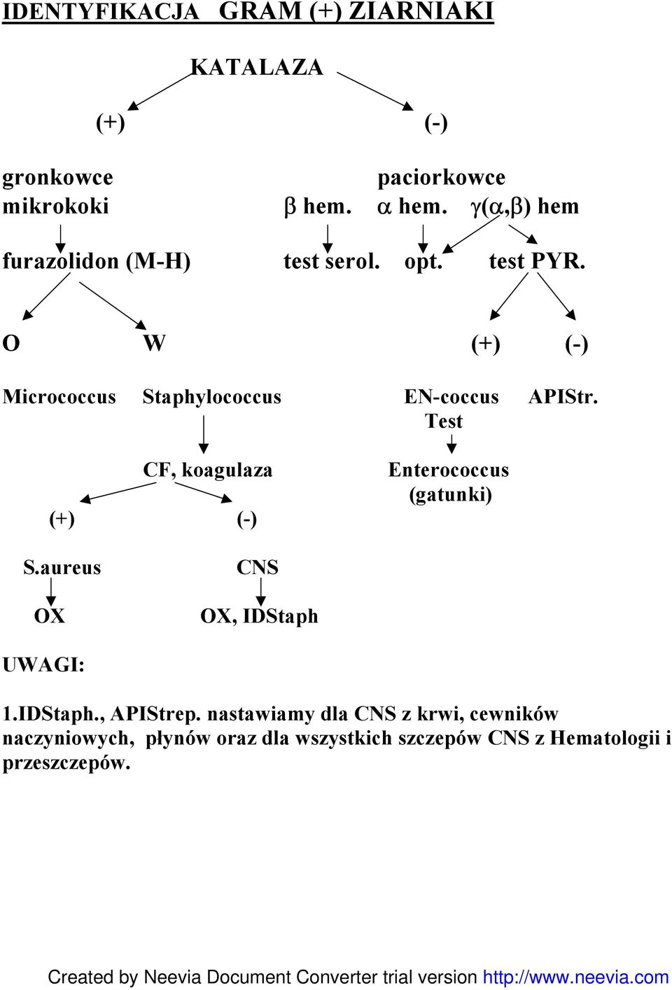 O W (+) (-) Micrococcus Staphylococcus EN-coccus APIStr.