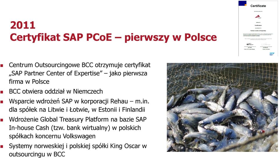 dla spółek na Litwie i Łotwie, w Estonii i Finlandii Wdrożenie Global Treasury Platform na bazie SAP In-house Cash (tzw.