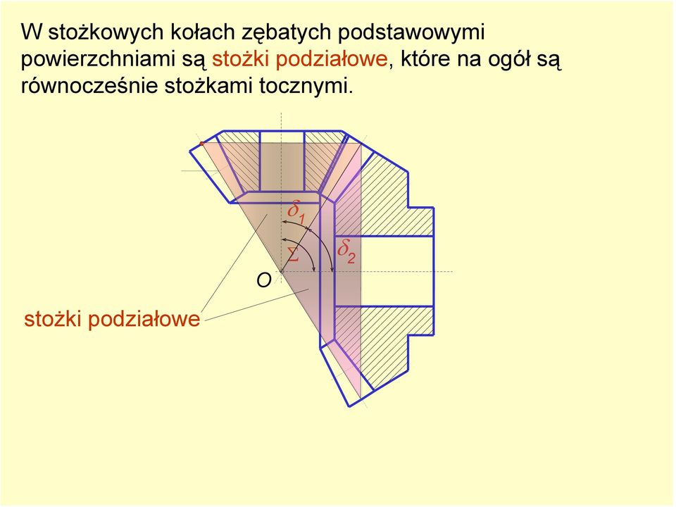 podiałowe, które na ogół są